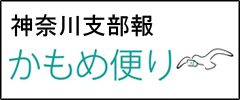 「かもめ便り」ページへ